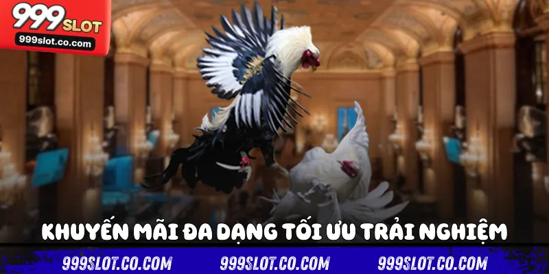 Khuyến mãi đa dạng tối ưu trải nghiệm